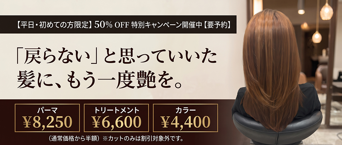2026年キャンペーンメニュー
